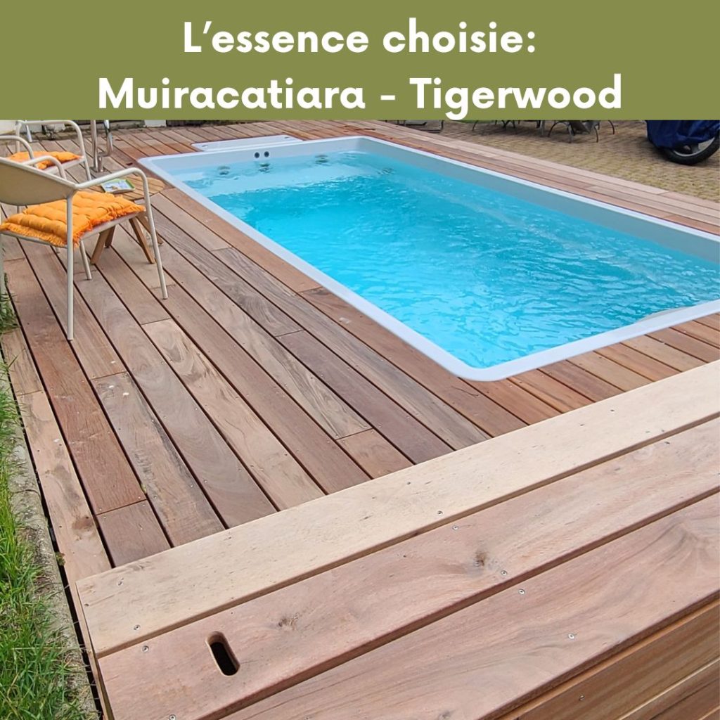 terrasse-bois-mini-piscine-ma-mini-piscine-tereny-tigerwood-muiracatiara-bois-exotique-thionville-moselle
