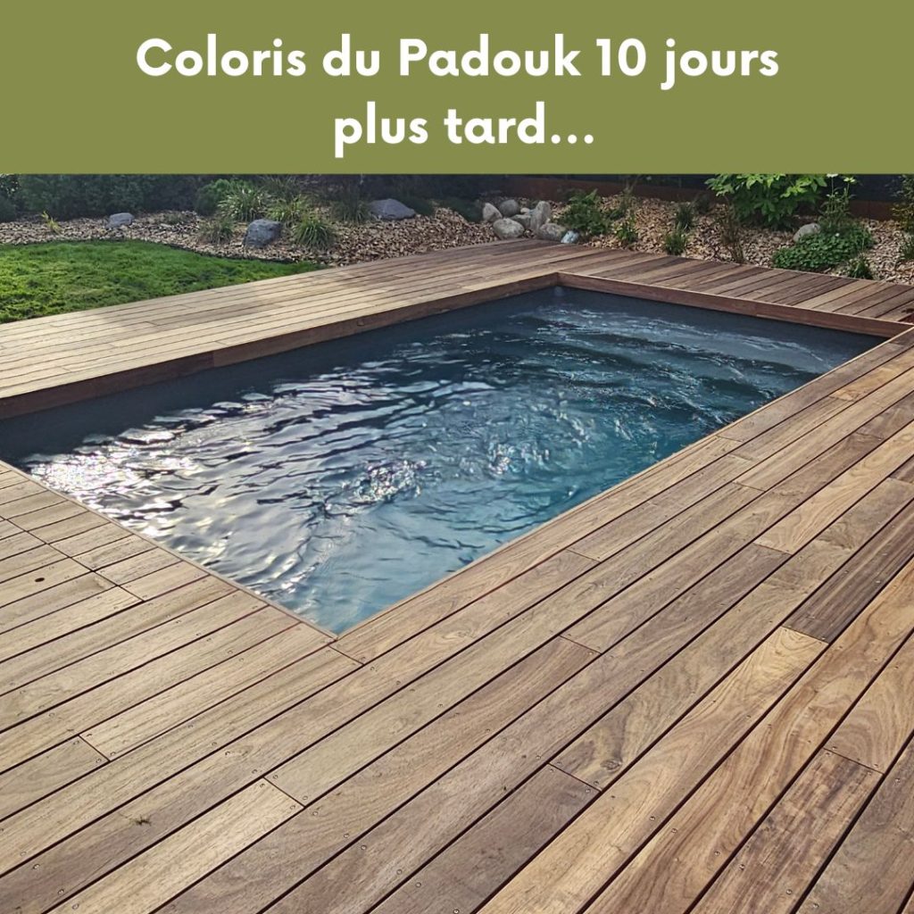 terrasse piscine-terrasse bois piscine rectangulaire-terrasse padouk-tereny-luxembourg-berchem-padouk grisé
