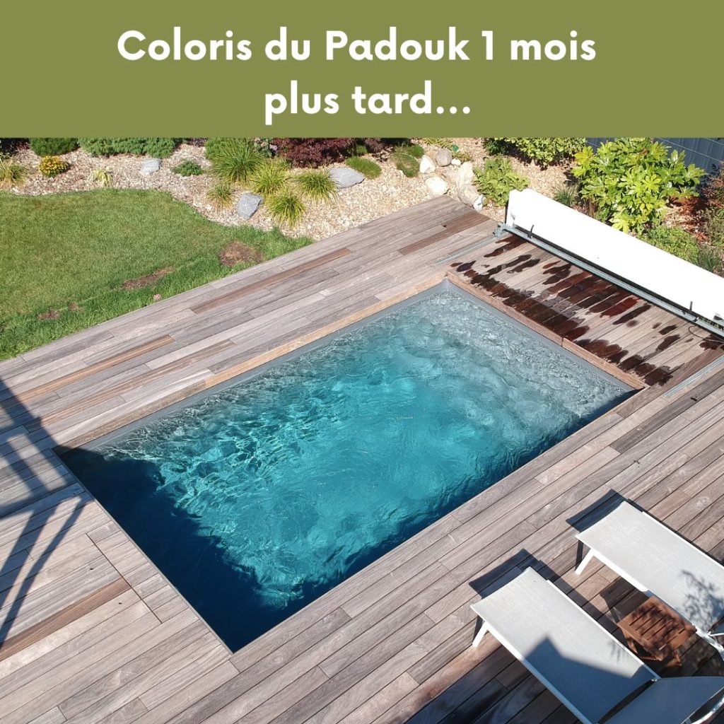 terrasse piscine-terrasse bois piscine rectangulaire-terrasse padouk-tereny-luxembourg-berchem-padouk grisé