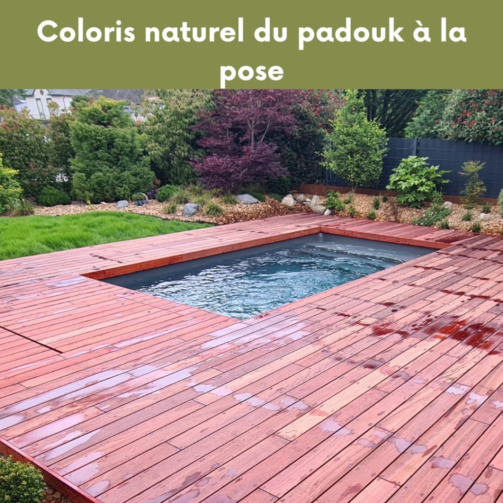 terrasse piscine-terrasse bois piscine rectangulaire-terrasse padouk-tereny-luxembourg-berchem-padouk grisé
